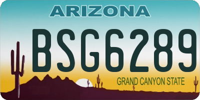 AZ license plate BSG6289
