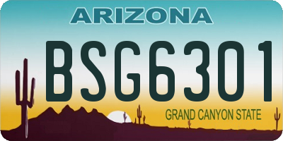 AZ license plate BSG6301