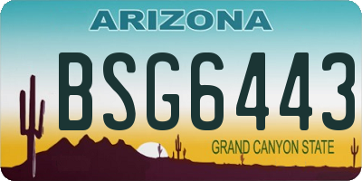 AZ license plate BSG6443