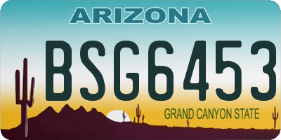 AZ license plate BSG6453