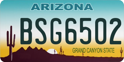 AZ license plate BSG6502