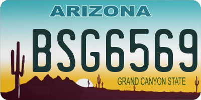 AZ license plate BSG6569