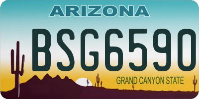 AZ license plate BSG6590