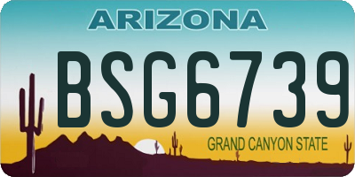 AZ license plate BSG6739