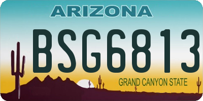 AZ license plate BSG6813