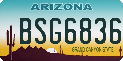 AZ license plate BSG6836