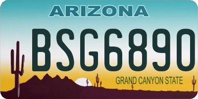 AZ license plate BSG6890