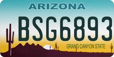 AZ license plate BSG6893