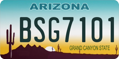 AZ license plate BSG7101