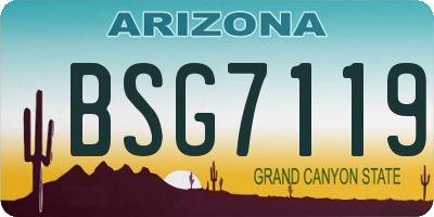 AZ license plate BSG7119