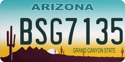 AZ license plate BSG7135