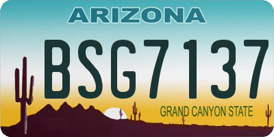AZ license plate BSG7137