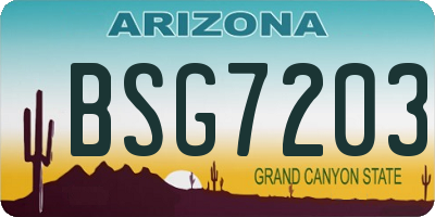 AZ license plate BSG7203