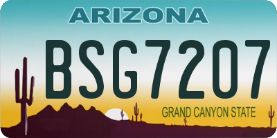 AZ license plate BSG7207