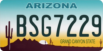 AZ license plate BSG7229