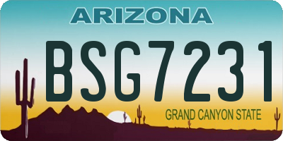 AZ license plate BSG7231