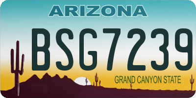 AZ license plate BSG7239