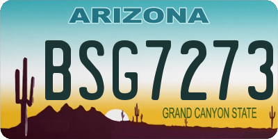 AZ license plate BSG7273