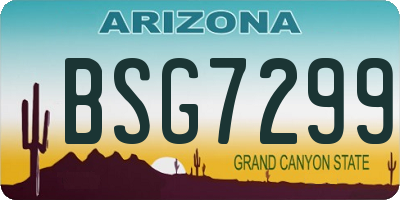 AZ license plate BSG7299