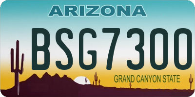 AZ license plate BSG7300