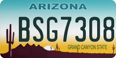 AZ license plate BSG7308
