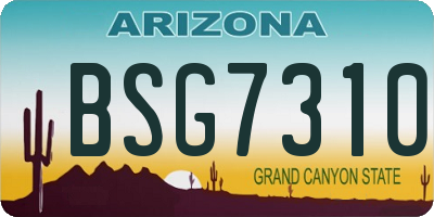 AZ license plate BSG7310