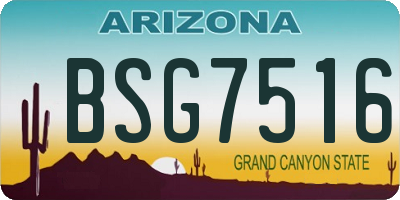 AZ license plate BSG7516