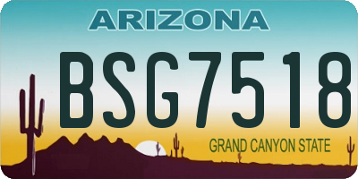 AZ license plate BSG7518