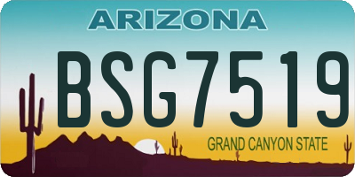 AZ license plate BSG7519