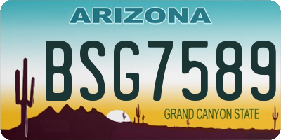 AZ license plate BSG7589