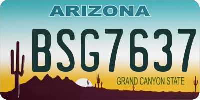 AZ license plate BSG7637