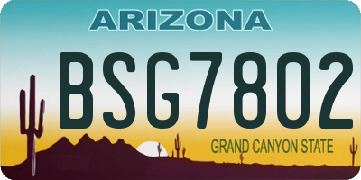 AZ license plate BSG7802