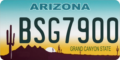 AZ license plate BSG7900