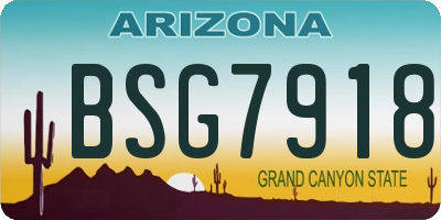 AZ license plate BSG7918