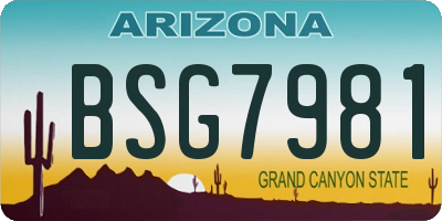 AZ license plate BSG7981