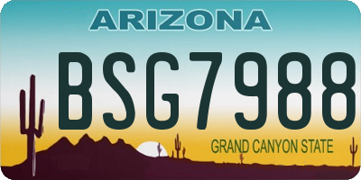 AZ license plate BSG7988