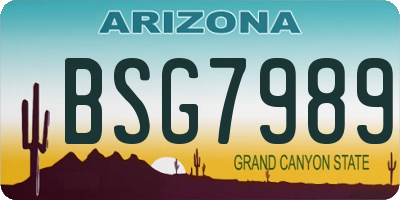 AZ license plate BSG7989