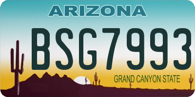 AZ license plate BSG7993