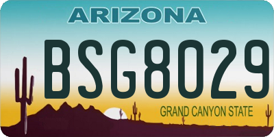 AZ license plate BSG8029
