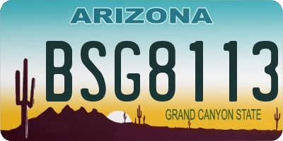 AZ license plate BSG8113