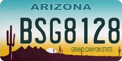 AZ license plate BSG8128