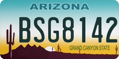 AZ license plate BSG8142