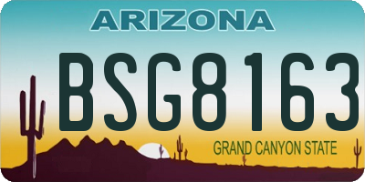 AZ license plate BSG8163