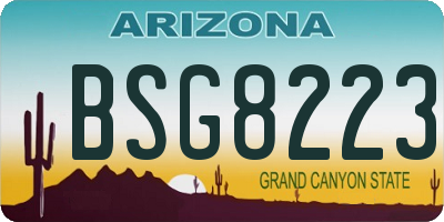 AZ license plate BSG8223