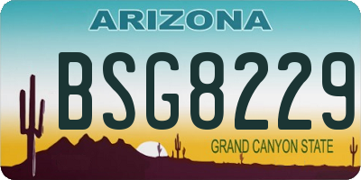 AZ license plate BSG8229