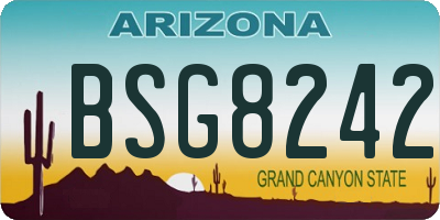 AZ license plate BSG8242
