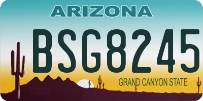 AZ license plate BSG8245