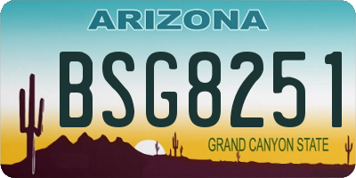 AZ license plate BSG8251