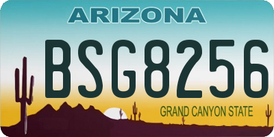 AZ license plate BSG8256
