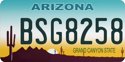 AZ license plate BSG8258